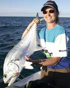 queenfish